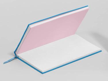 How to use a dotted journal